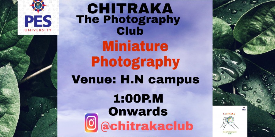 Miniature Photography